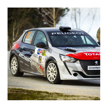 Vitre avant Makrolon Peugeot 208 